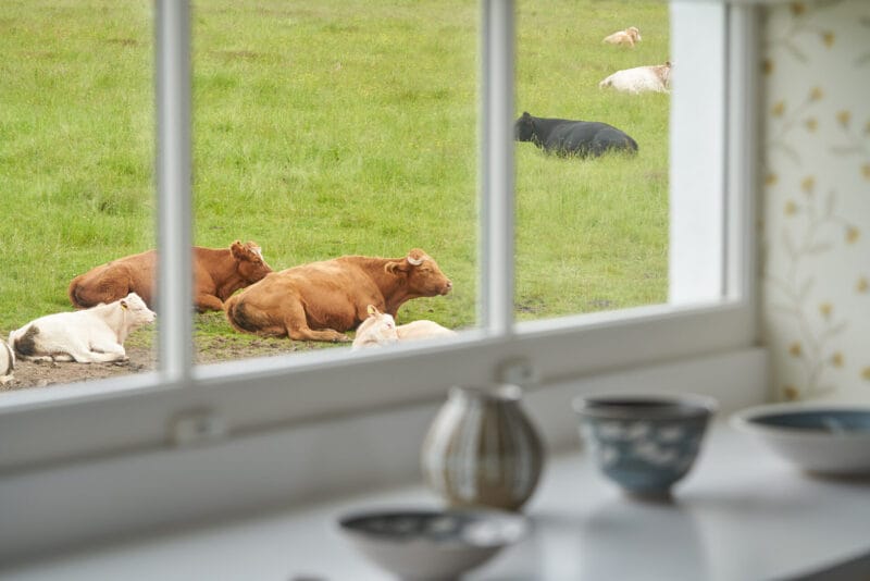 Looking for luxury accommodations in Aviemore? Meet Achnahatnich House - achnahatich garcia 16