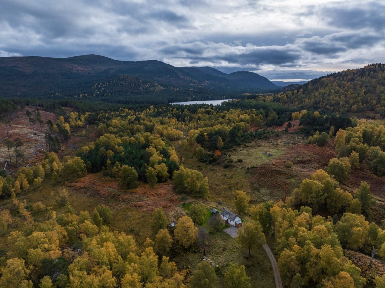 holiday cottages aviemore - hidden highland retreats