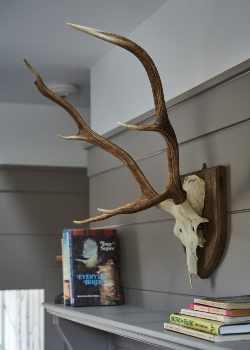 aviemore cottages | Cairn Valley | Rothiemurchus