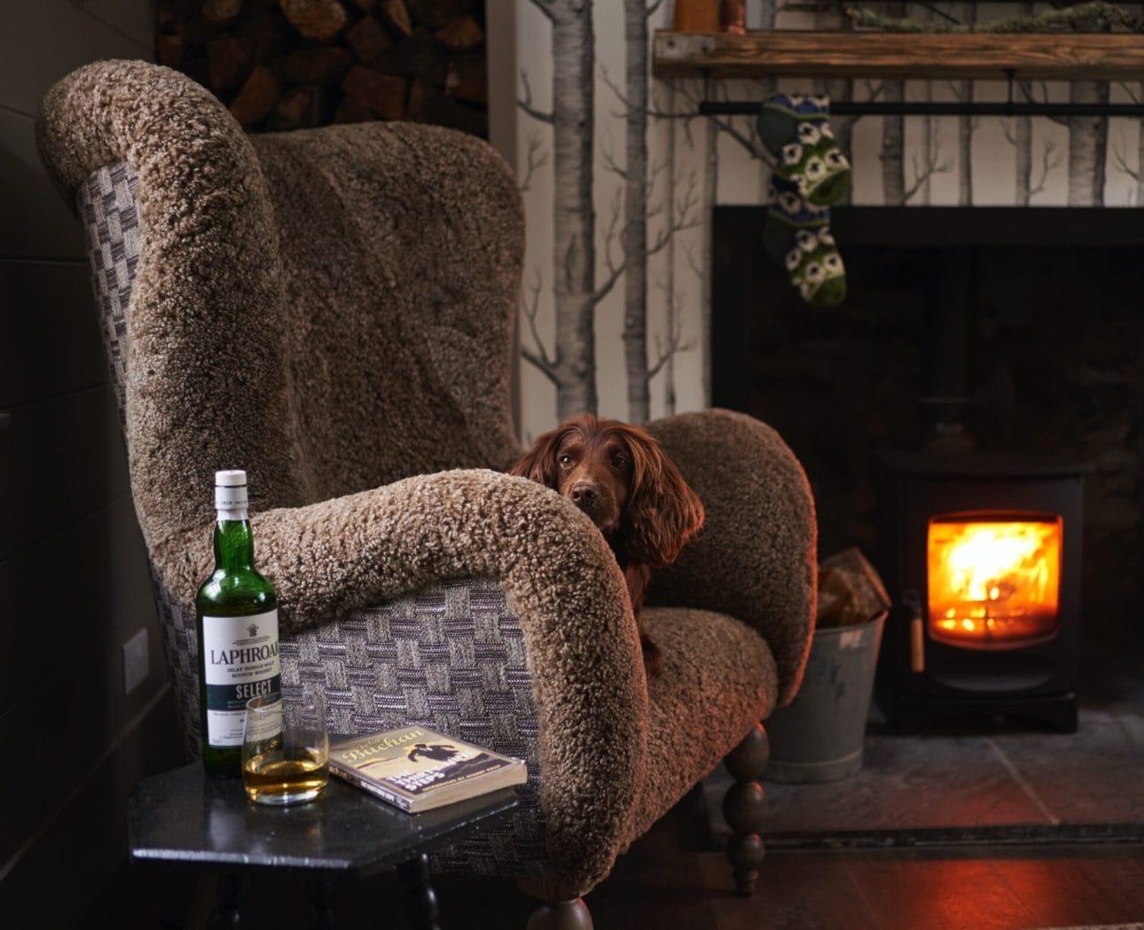 aviemore cottages | Cairn Valley | Rothiemurchus