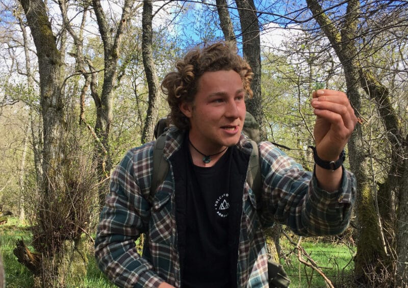 Cairn Valley - activ forage
