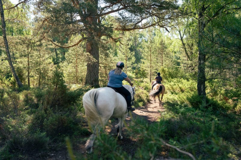Cairn Valley - 2023 07 Pony Trekking Rupert Shanks 9