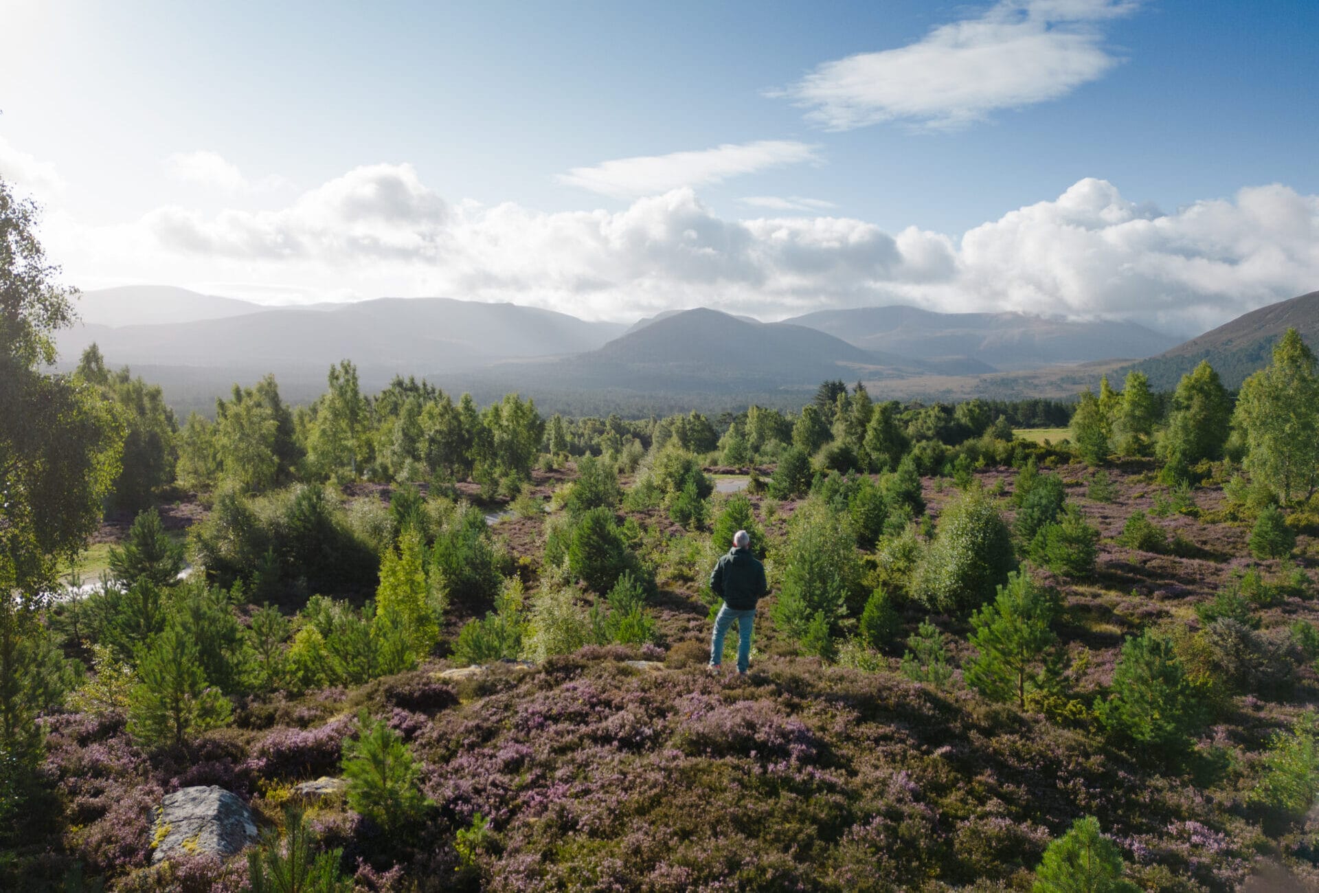 Summer in Aviemore - 2023 08 Tullochgrue viewpoint Rupert Shanks 1