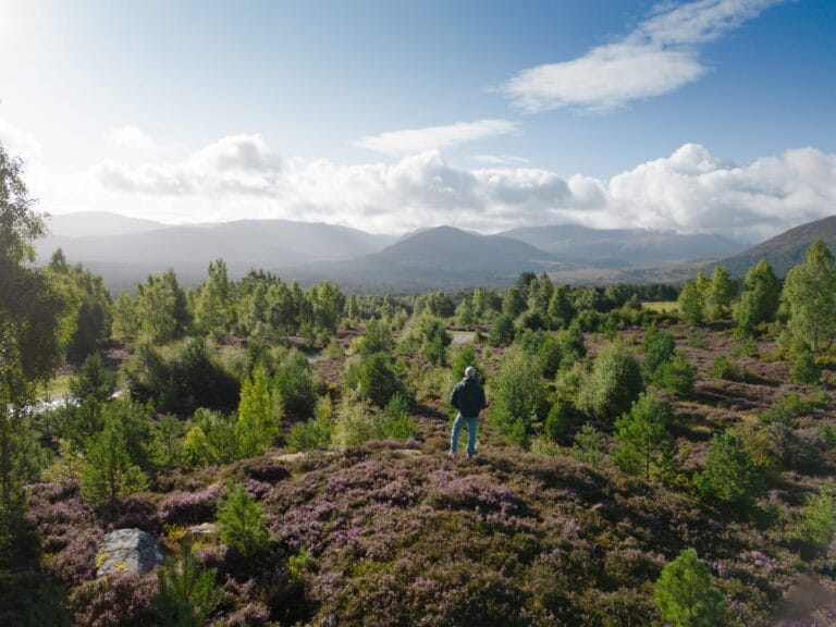 Summer in Aviemore - 2023 08 Tullochgrue viewpoint Rupert Shanks 1