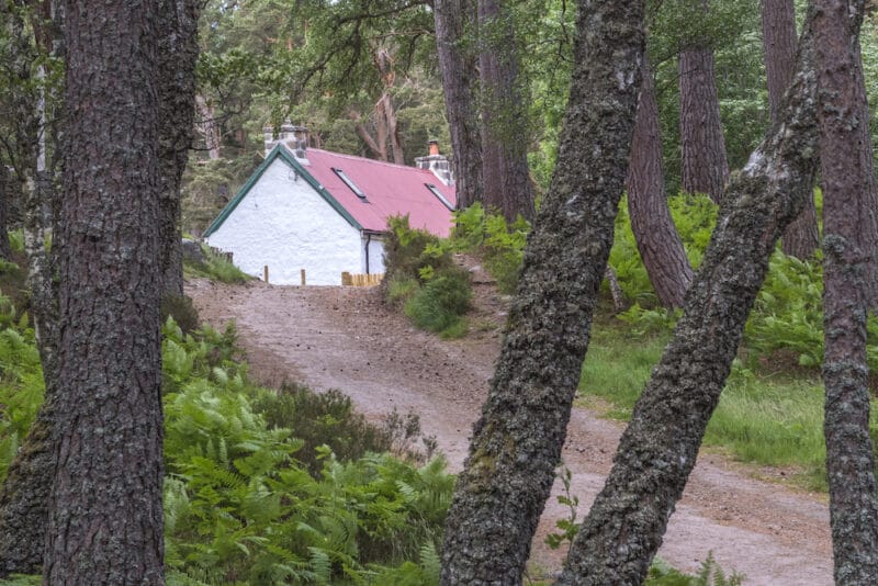 holiday cottage scotland