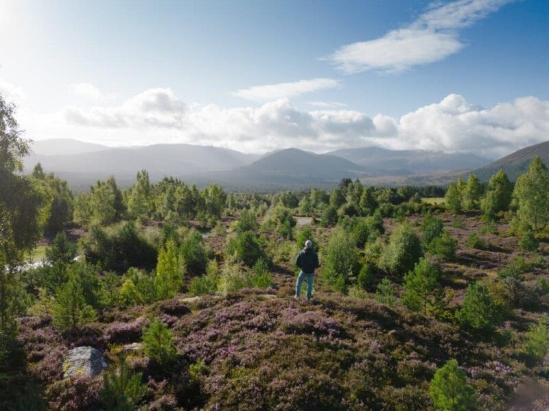 Summer in Aviemore - 2023 08 Tullochgrue viewpoint Rupert Shanks 1