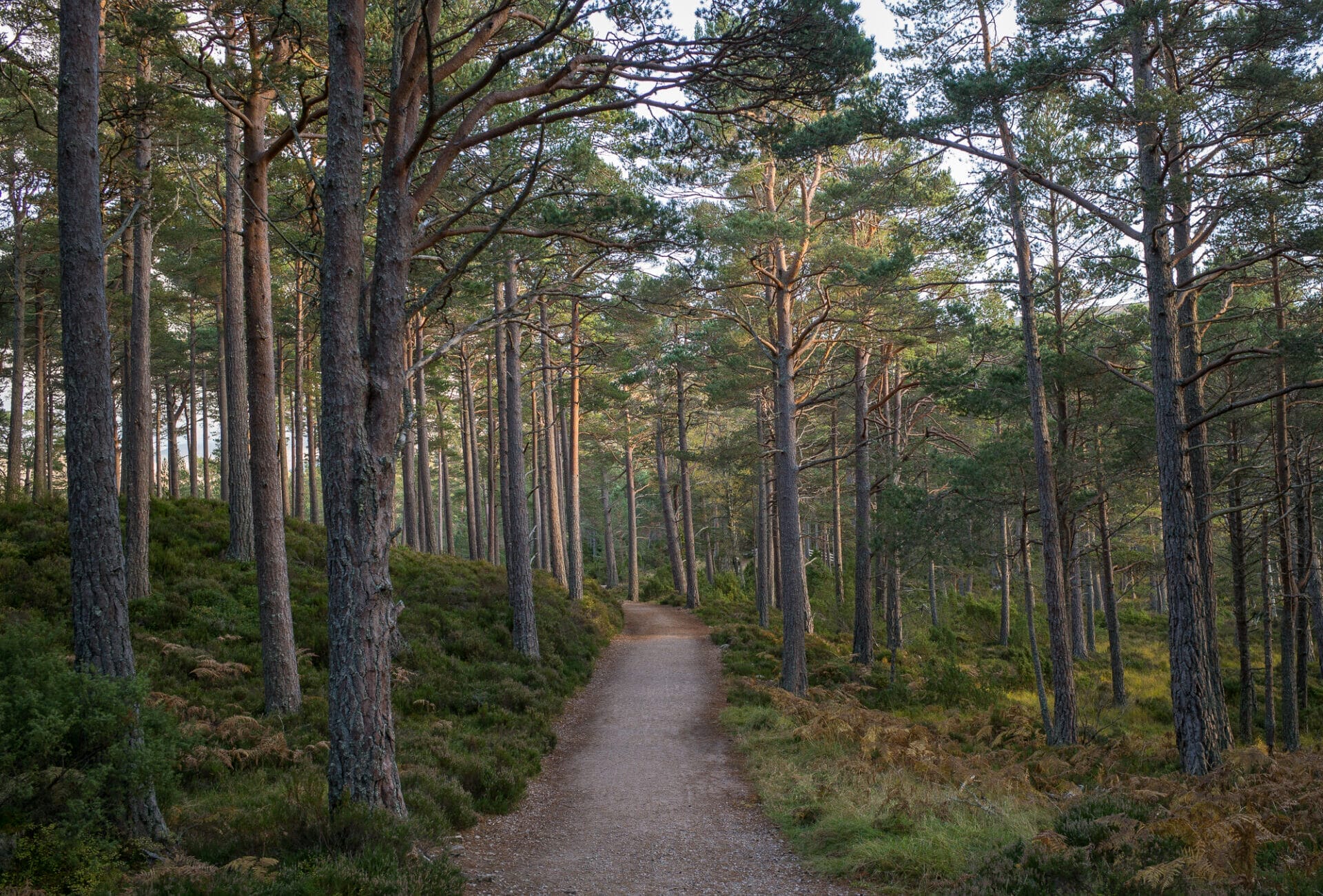 Autumn Getaways in Aviemore - rothiemurchus 2