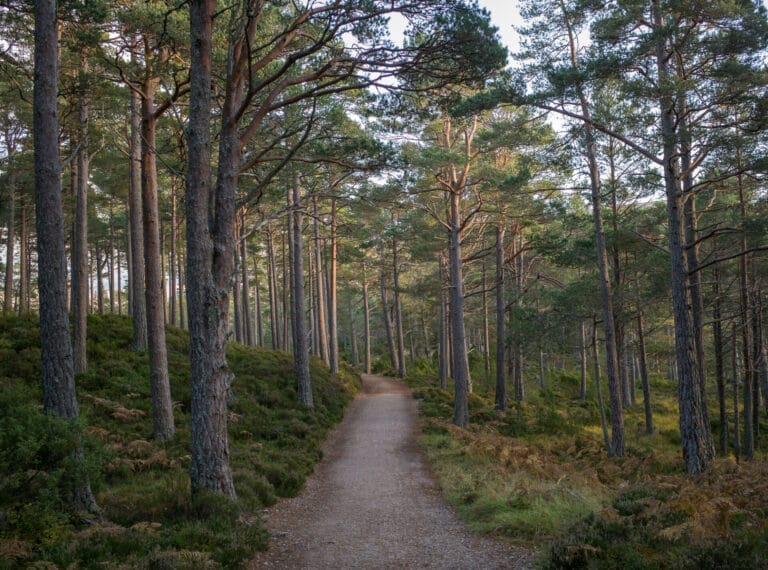 Autumn Getaways in Aviemore - rothiemurchus 2