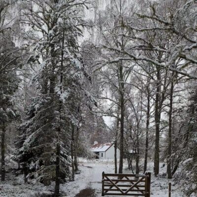 Luxury cottage aviemore - Lower Milton Cottage