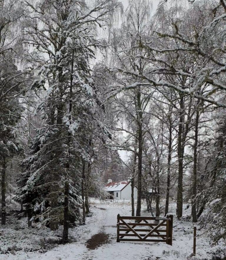 Luxury cottage aviemore - Lower Milton Cottage