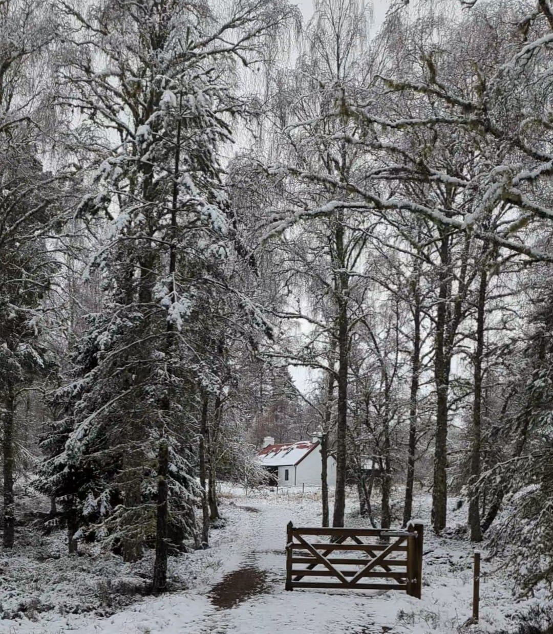 Luxury cottage aviemore - Lower Milton Cottage